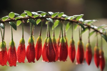 东莞东坑6私人快速借钱网，轻松解决资金难题