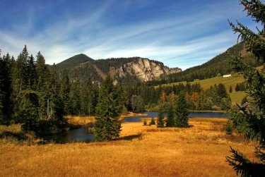 东莞东坑6民间私贷攻略：揭秘低成本借贷的秘密