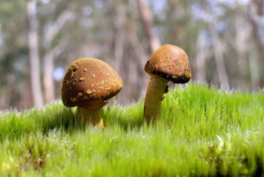 东莞东坑6私人老板放款：轻松融资的秘密通道